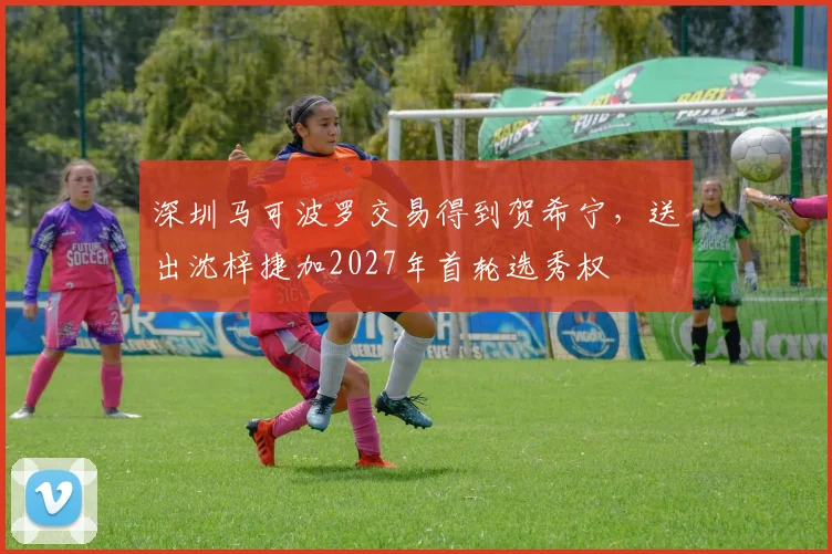 深圳马可波罗交易得到贺希宁，送出沈梓捷加2027年首轮选秀权